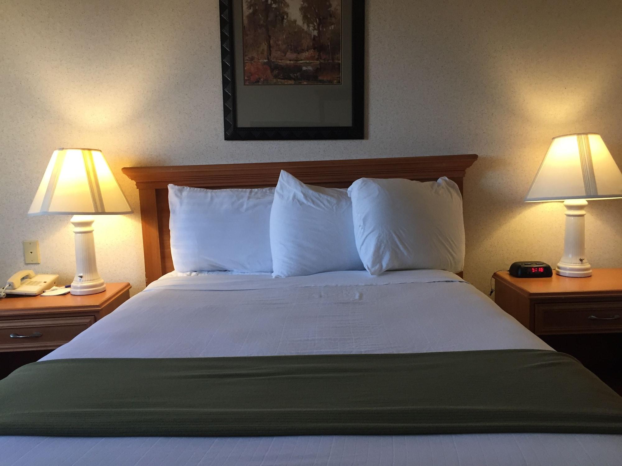 Quality Inn & Suites Willows Extérieur photo