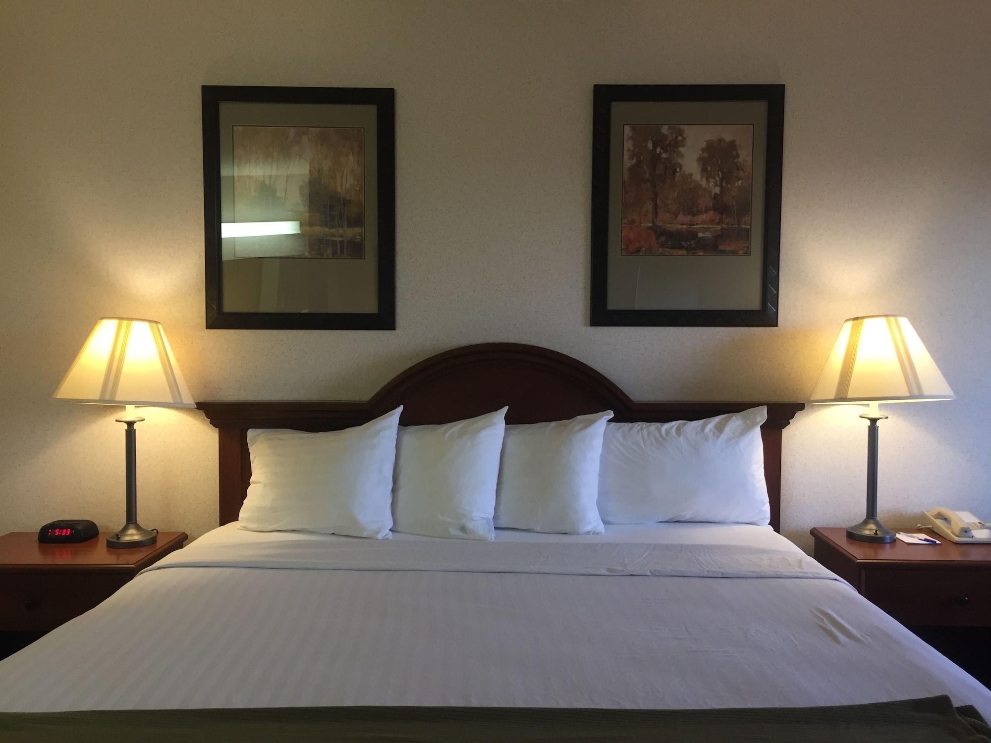 Quality Inn & Suites Willows Extérieur photo